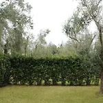 Tenuta Frassanito *