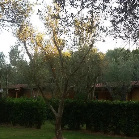Frassanito By Lu Podere Farm stay Alimini