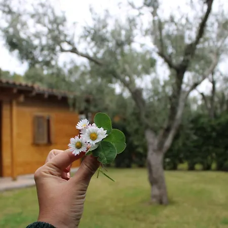 Frassanito By Lu Podere