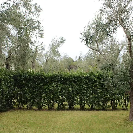 Frassanito By Lu Podere *