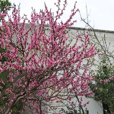 Lu Podere Alloggio per agriturismo Alimini